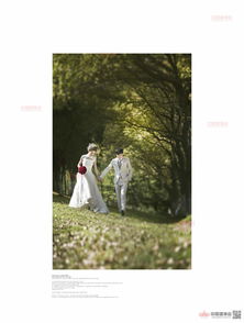 專業(yè)與貼心并存 上海蔚藍(lán)海岸婚紗攝影的難忘體驗(yàn)