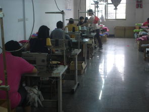 金華市婺城區(qū)麗華日用品廠 專注品質(zhì)，服務(wù)生活的個(gè)體經(jīng)營典范